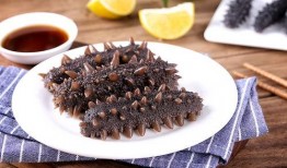 烟台海参爆料视频播放下载,视频播放下载背后的真相揭秘